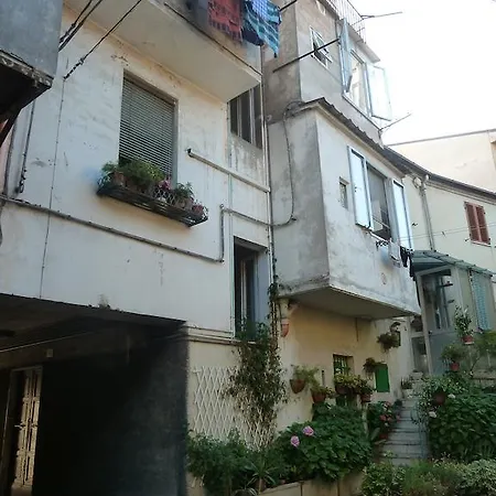 Da Maria Ancona